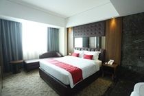 Demelia Hotel